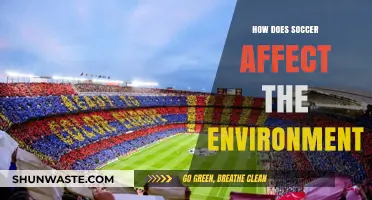 Soccer's Environmental Impact: Sustainability Challenges and Green Initiatives