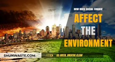 Social Change and Environmental Impact: Exploring the Interconnected Relationship