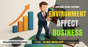 Cultural Influences: Shaping Business Strategies in a Diverse Social Landscape