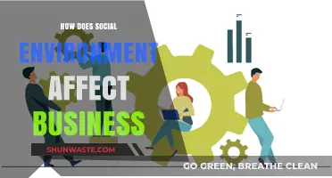 Social Environment's Impact: Shaping Business Success and Strategies