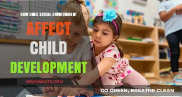Social Environment's Impact on Shaping Child Development and Future Success