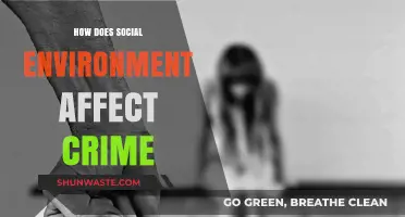 Social Environment's Impact: Unraveling Crime's Complex Relationship with Community Dynamics