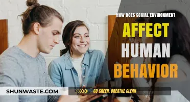 Social Surroundings: Shaping Human Behavior and Personal Development