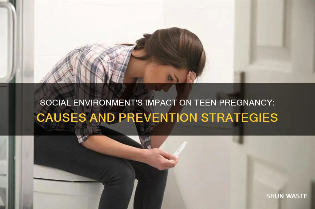 how does social environment affect teen pregnancy