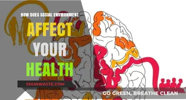 Social Surroundings and Health: Uncovering the Impact of Your Environment
