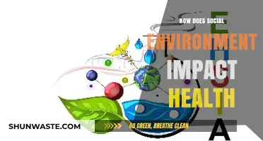 Social Surroundings: Uncovering How Environments Shape Our Health and Well-Being