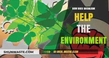 Socialism's Green Impact: How Collective Ownership Benefits Our Planet