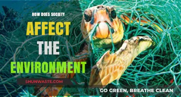 Society's Impact: How Human Actions Shape Our Environment