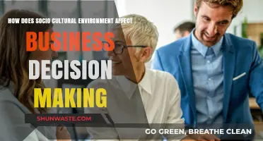 Socio-Cultural Influences: Shaping Business Strategies and Decision-Making Processes