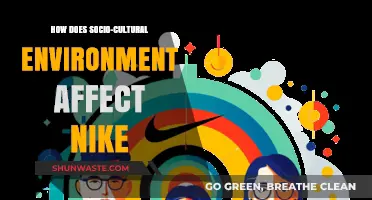 Socio-Cultural Influences on Nike's Global Brand Identity and Strategy