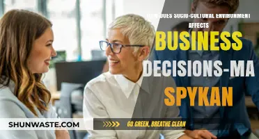 Socio-Cultural Influences: Shaping Spykan's Strategic Business Decision-Making Process