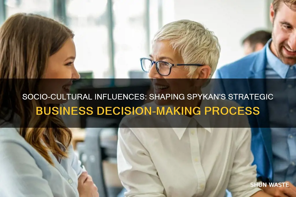 how does socio-cultural environment affects business decisions-making spykan