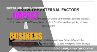 Socio-Cultural Influences: Shaping Business Strategies and Market Dynamics