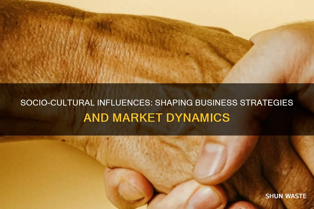 how does socio cultural environment impact a business