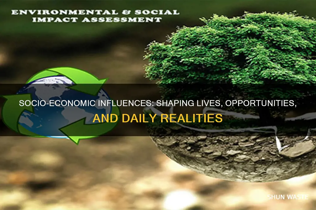 how does socio-economic environment affect us