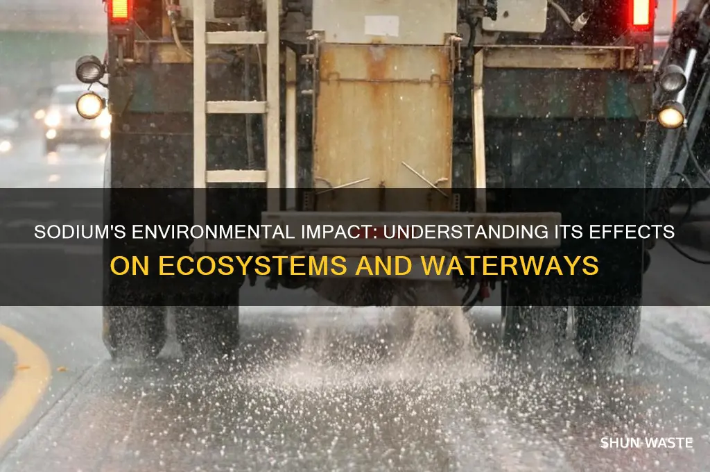 how does sodium affect the environment
