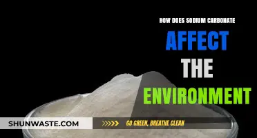 Sodium Carbonate's Environmental Impact: Effects, Risks, and Sustainable Practices