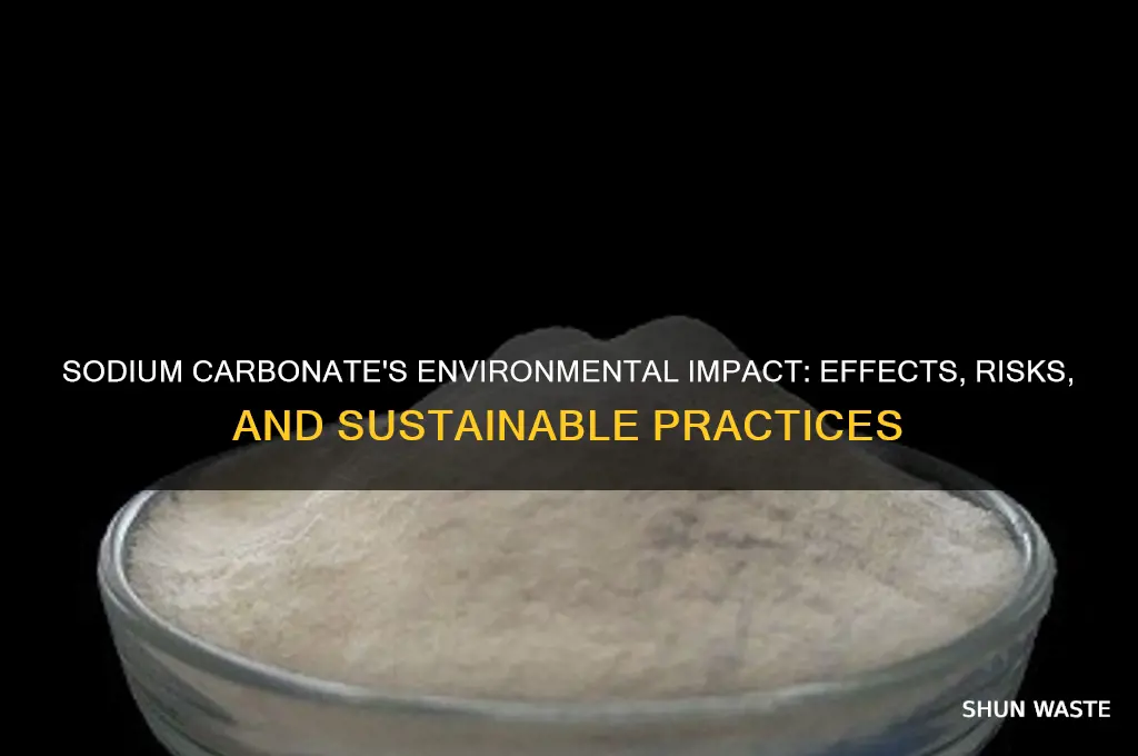 how does sodium carbonate affect the environment