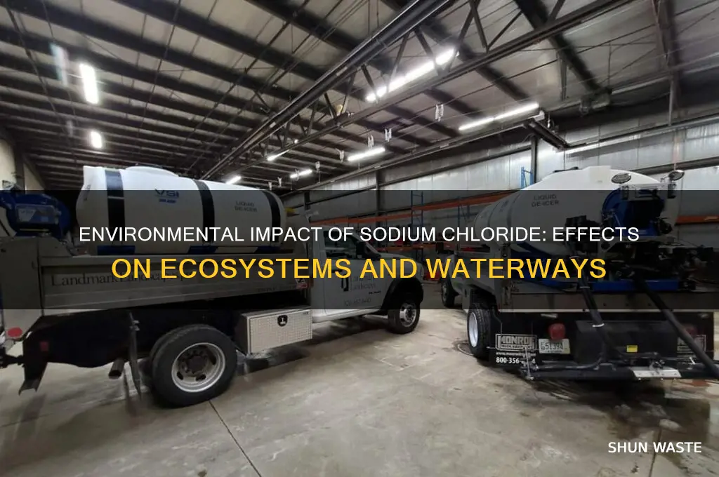 how does sodium chloride affect the environment