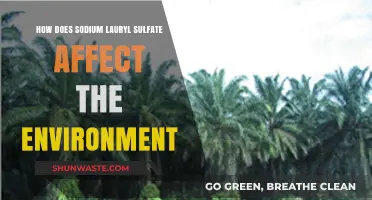 Sodium Lauryl Sulfate's Environmental Impact: Concerns and Consequences Explored