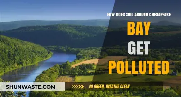 Chesapeake Bay's Soil Pollution: What's the Main Culprit?