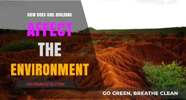 Soil Building: Enhancing Ecosystems and Mitigating Environmental Impacts