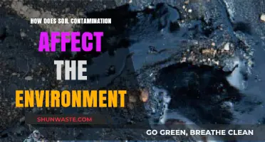 Soil Contamination's Devastating Impact on Ecosystems and Environmental Health