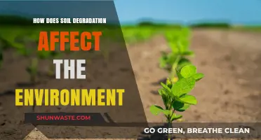 Soil Degradation's Impact: Environmental Consequences and Sustainable Solutions