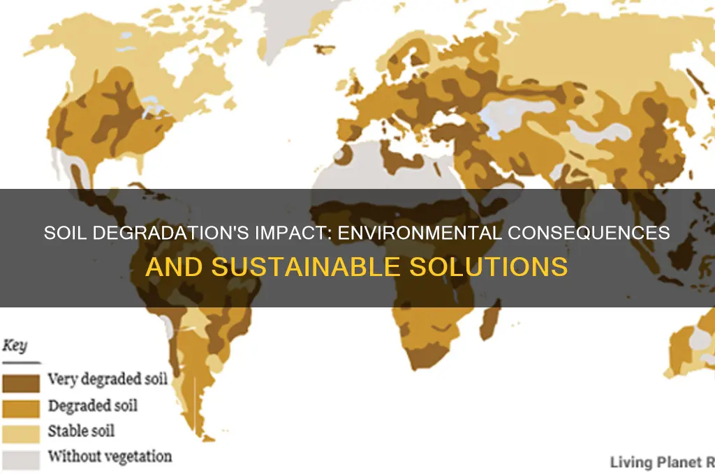how does soil degradation affect the environment