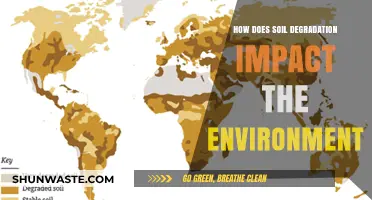 Soil Degradation's Devastating Effects on Ecosystems and Climate Health