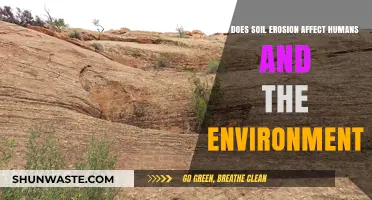 Soil Erosion's Impact: Human Lives and Environmental Consequences Explored