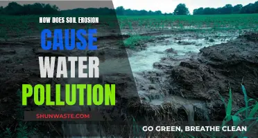 Soil Erosion's Impact: Uncovering Water Pollution's Hidden Link