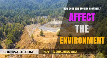 Soil Erosion's Devastating Impact on Ecosystems and Environmental Health