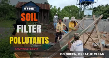 Soil's Natural Purifying Powers: Filtering Pollutants
