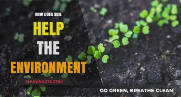 Soil's Vital Role: Sustaining Ecosystems and Protecting Our Environment