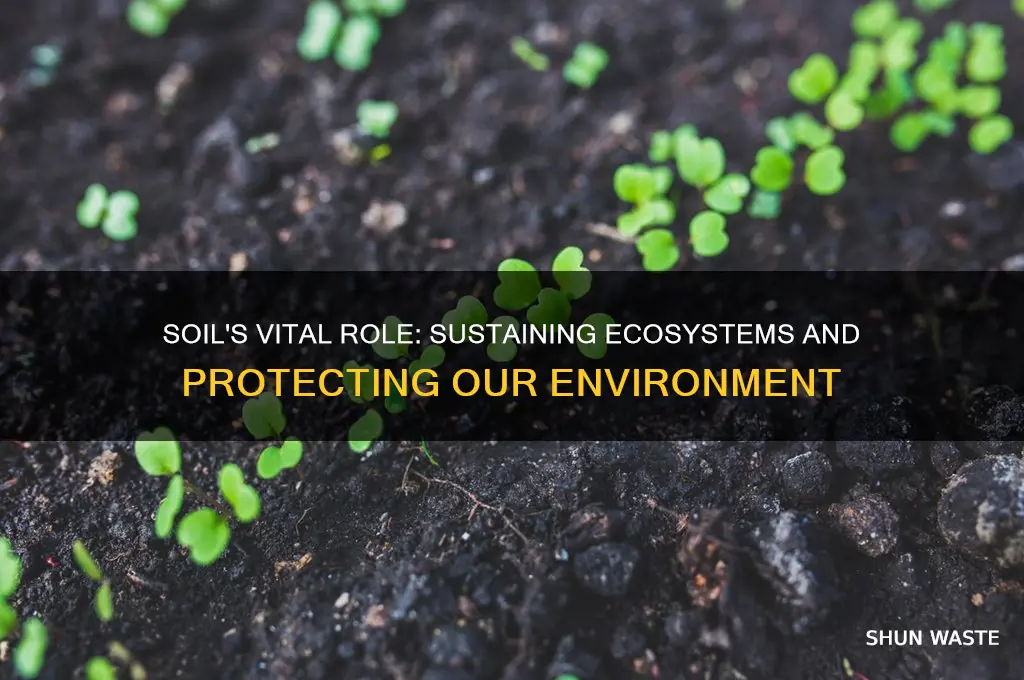 how does soil help the environment