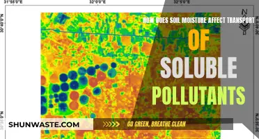 Soil Moisture's Impact on Soluble Pollutant Transport Dynamics