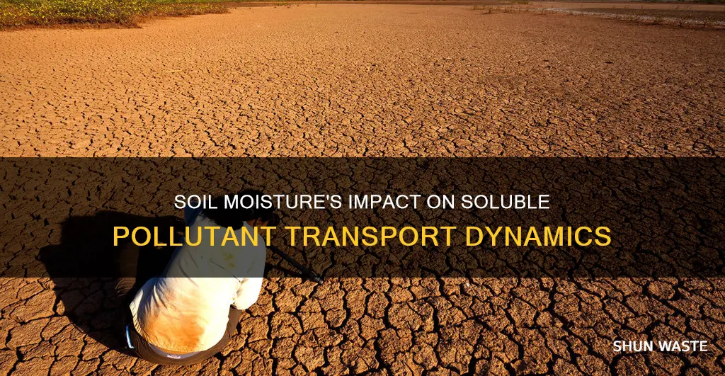 how does soil moisture affect transport of soluble pollutants