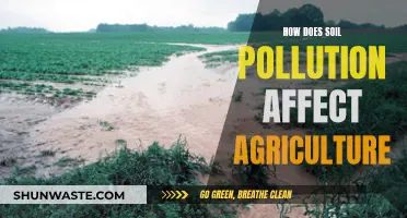 Soil Pollution's Impact on Agriculture: A Growing Concern