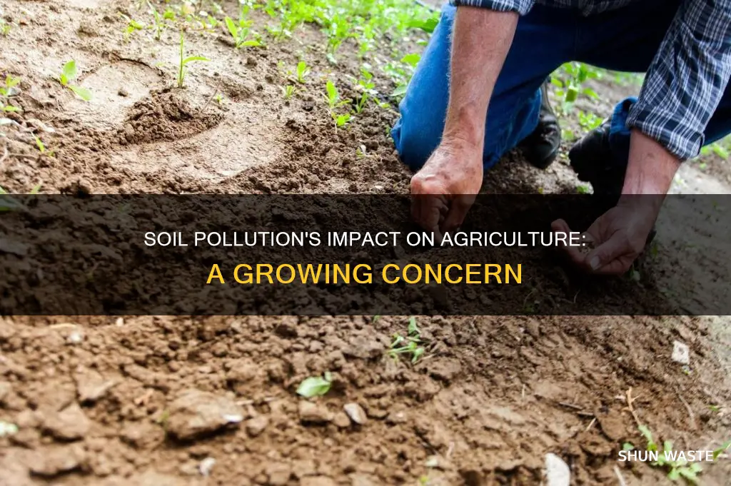 how does soil pollution affect agriculture