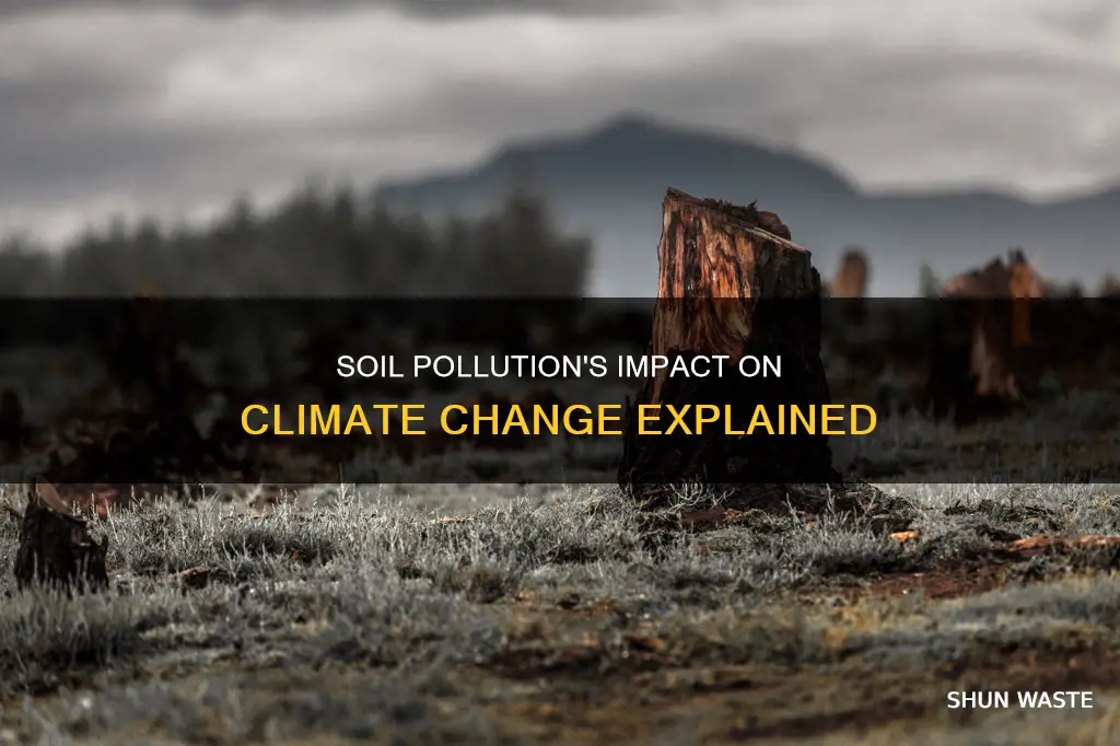 how does soil pollution affect climate change