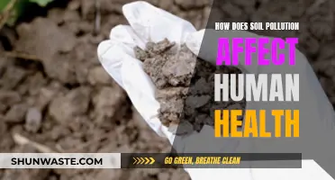 Soil Pollution's Impact: Human Health Hazards