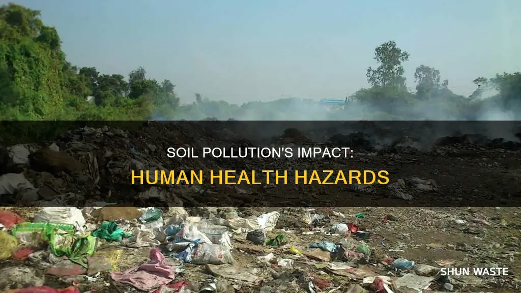 how does soil pollution affect human health