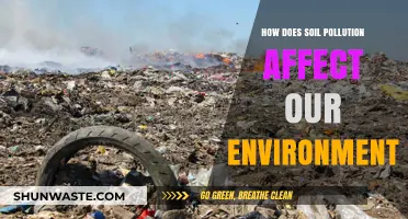 Soil Pollution's Devastating Impact on Ecosystems and Human Health