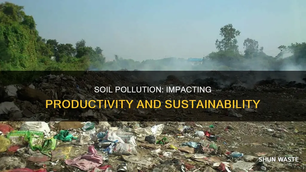 how does soil pollution affect soil productivity