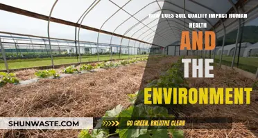 Soil Quality's Vital Role in Human Health and Ecosystems