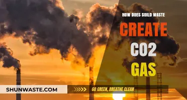 Solid Waste's Hidden Impact: Uncovering CO2 Emissions from Trash