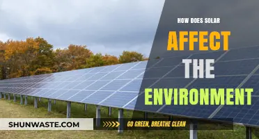 Solar Power's Environmental Impact: Benefits, Challenges, and Sustainable Solutions