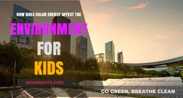 Solar Power's Impact: Exploring Eco-Friendly Energy for Young Minds