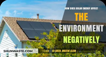 Solar Energy's Environmental Downsides: Uncovering the Hidden Ecological Impacts